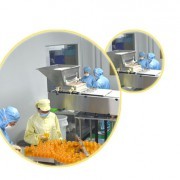 技术赋能未来 引领创新的技术推广服务企业