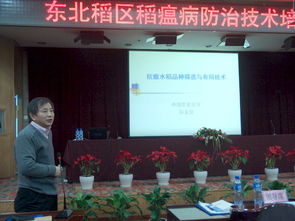 技术推广服务中心 驱动创新落地的核心引擎