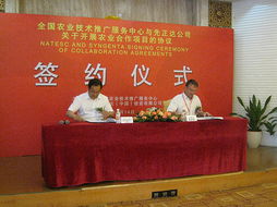 技术推广服务中心 创新与应用的桥梁